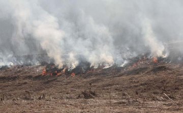 vypalování trávy může způsobit požár, ilustrační foto HZS ČR