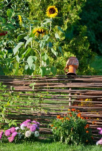 volně propletené ploty sluším venkovským zahradám