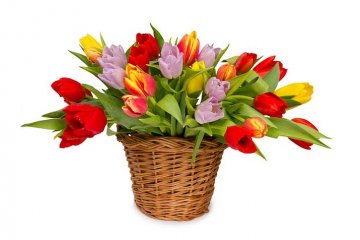 kytice tulipánů rpzných barev dobře vypadá i v proutěném košíku