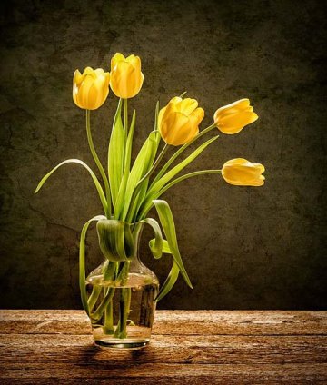 žluté tulipány ve skleněné váze