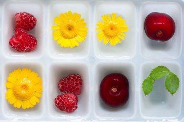 příprava ledových kostek s květy a ovocem