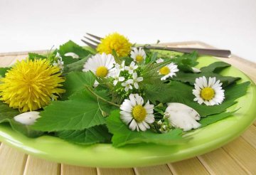 jedlé květy na talíři - sedmikrásky a pampelišky