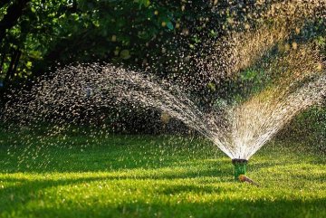 Tipy jak šetřit vodou v letním období