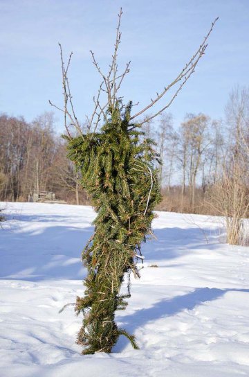 Ochrana stromu v zimě