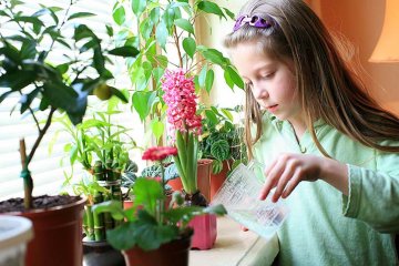 starší děti dokáží pečovat o svěřené rostliny velmi pečlivě