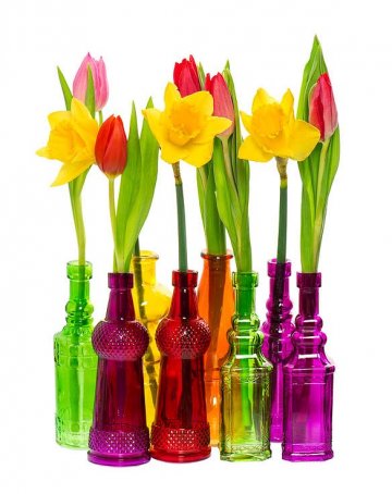 tulipány a narcisy spolu, přesto každý zvlášť