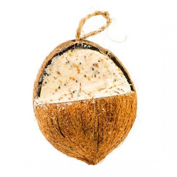 pro tukovou směs dobře poslouží vydlabaný kokosový ořech
