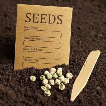 sáčky se skladovanými semeny řádně popíšeme