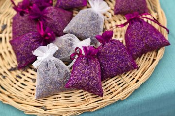 sáčky naplněné sušenými levandulovými květy zapudí šatní moly